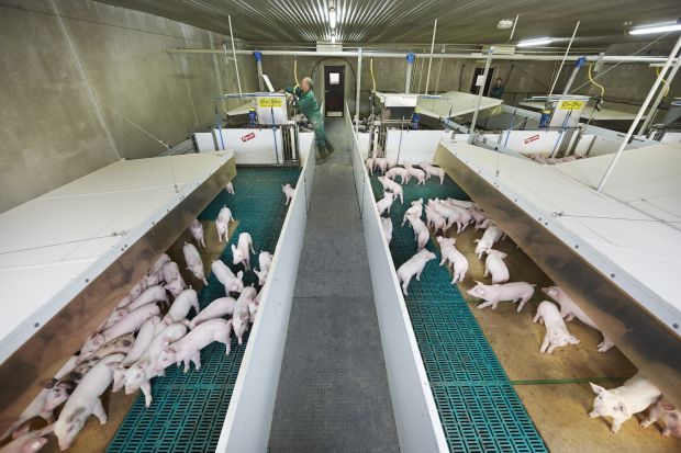 Ein Landwirt ernährt heute 144 Menschen, vor allem durch Ertragssteigerungen und moderne Technik. Ein Landwirt ernährt heute 144 Menschen, vor allem durch Ertragssteigerungen und moderne Technik.
