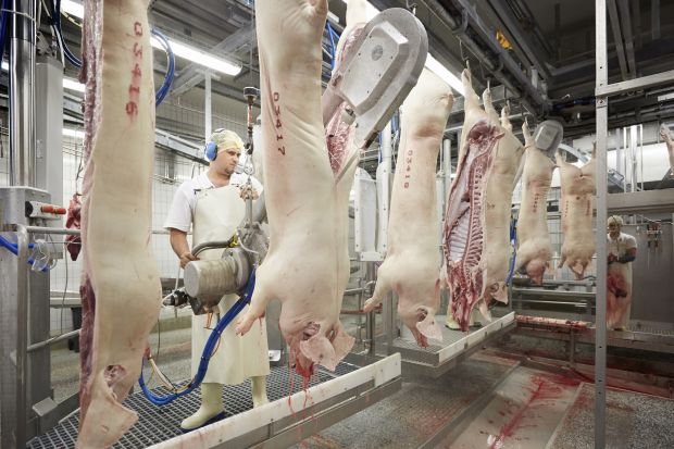 Die Fleischbranche ist führend in moderner Technik und tut alles, um die Sicherheit und Qualität ihrer Produkte auf einem guten Niveau zu halten. Die Fleischbranche ist führend in moderner Technik und tut alles, um die Sicherheit und Qualität ihrer Produkte auf einem guten Niveau zu halten.
