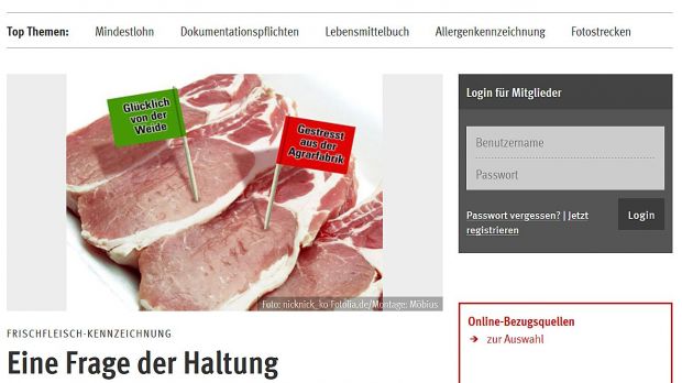 Die neue gestaltete Homepage. Die neue gestaltete Homepage.