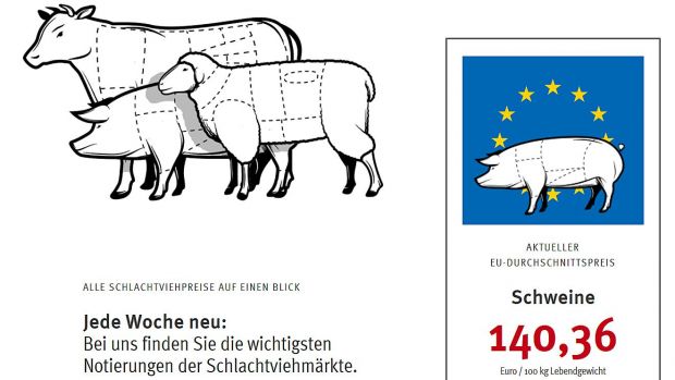 Notierungen, Rankings und Bildergalerien schließen die Webseite ab. Notierungen, Rankings und Bildergalerien schließen die Webseite ab.