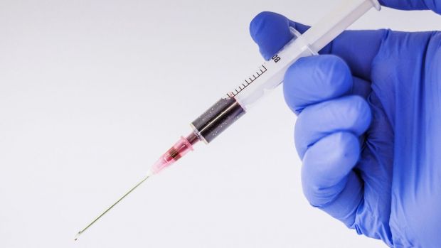 German Genetic fordert Lokalbetäubung als Alternative bei Ferkelkastration. German Genetic fordert Lokalbetäubung als Alternative bei Ferkelkastration.