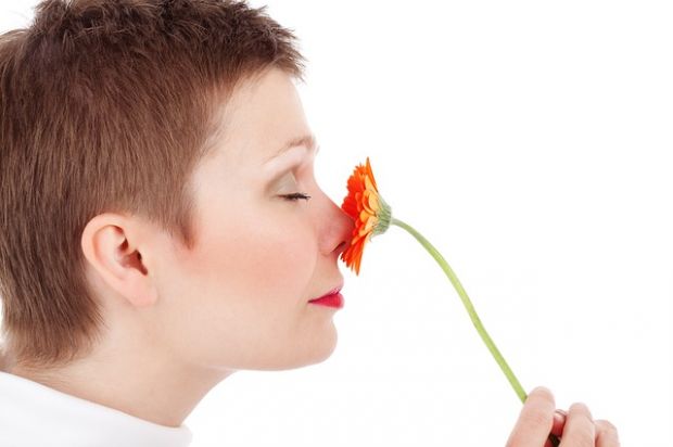 Nicht jeder Geruch duftet so angenehm wie eine Blüte. Nicht jeder Geruch duftet so angenehm wie eine Blüte.