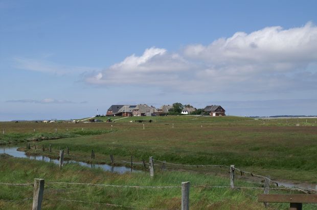 Auf der Hallig Süderoog im Kreis Nordfriesland wurde der Geflügelpestvirus des Subtyps H5N6 in einem Nutztierbestand nachgewiesen. Auf der Hallig Süderoog im Kreis Nordfriesland wurde der Geflügelpestvirus des Subtyps H5N6 in einem Nutztierbestand nachgewiesen.
