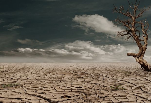 Nach Berechnungen der Landwirtschaftskammer Niedersachen würde eine Halbierung des Fleischkonsums in Deutschland dem Klimaziel jedoch nur um etwa ein Hundertstel näherbringen. Nach Berechnungen der Landwirtschaftskammer Niedersachen würde eine Halbierung des Fleischkonsums in Deutschland dem Klimaziel jedoch nur um etwa ein Hundertstel näherbringen.