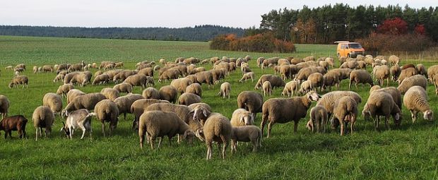 Kräftige Zuwächse verzeichnete das Drittlandsgeschäft nach Hongkong und Kanada. Kräftige Zuwächse verzeichnete das Drittlandsgeschäft nach Hongkong und Kanada.