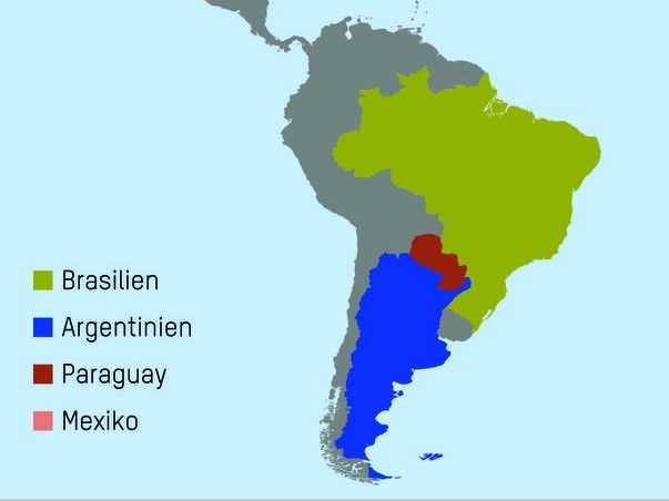Die Rindfleischmärkte in Lateinamerika entwickelten sich 2016 unterschiedlich. Die Rindfleischmärkte in Lateinamerika entwickelten sich 2016 unterschiedlich.