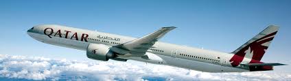 Quatar Airways bringt Kühe per Luftfracht ins Emirat. Quatar Airways bringt Kühe per Luftfracht ins Emirat.