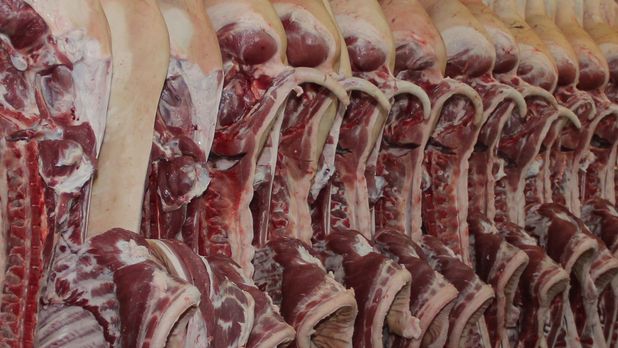 Schweinehälften Schweinehälften