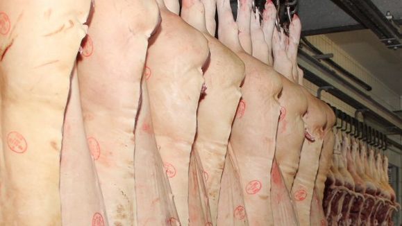 Vor den Feiertagen war am deutschen Schlachtschweinemarkt zunehmend Druck zu spüren. Vor den Feiertagen war am deutschen Schlachtschweinemarkt zunehmend Druck zu spüren.