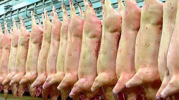 Die Kaufzurückhaltung der Chinesen sowie das Russland-Embargo führen zu neuen Warenströmen an den globalen Märkten für Schweinefleisch. Die Kaufzurückhaltung der Chinesen sowie das Russland-Embargo führen zu neuen Warenströmen an den globalen Märkten für Schweinefleisch.