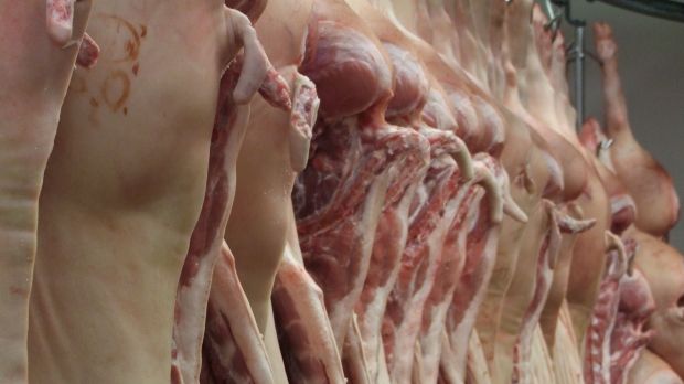 Ein knappes Angebot an Schlachtvieh zusammen mit einem boomenden Export trieben 2016 die Schweinenotierungen in die Höhe – eine Zerreißprobe für die Unternehmen der Fleischwirtschaft. Ein knappes Angebot an Schlachtvieh zusammen mit einem boomenden Export trieben 2016 die Schweinenotierungen in die Höhe – eine Zerreißprobe für die Unternehmen der Fleischwirtschaft.