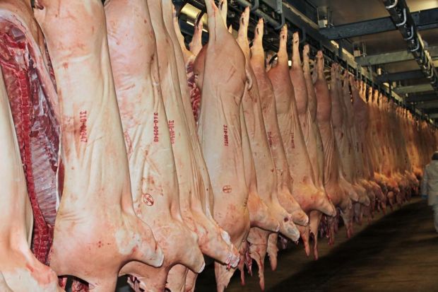 Im Jahr 2016 verarbeitete die WH-Gruppe insgesamt 49,3 Mio. Schweine Im Jahr 2016 verarbeitete die WH-Gruppe insgesamt 49,3 Mio. Schweine
