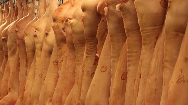Schweinehälften im Kühlraum. Schweinehälften im Kühlraum.