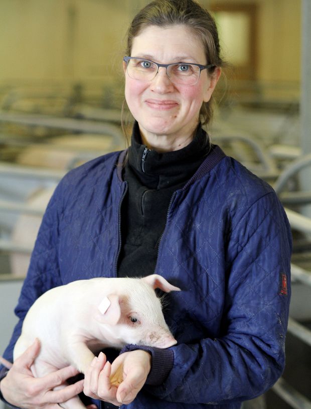 Stine Mikkelsen ist von Beginn an am Pilotprojekt zur antibiotikafreien Aufzucht beteiligt, das der Genossenschaftskonzern Danish Crown gemeinsam mit dem SEGES Danish Pig Research Centre initiiert hat.
Stine Mikkelsen ist von Beginn an am Pilotprojekt zur antibiotikafreien Aufzucht beteiligt, das der Genossenschaftskonzern Danish Crown gemeinsam mit dem SEGES Danish Pig Research Centre initiiert hat.