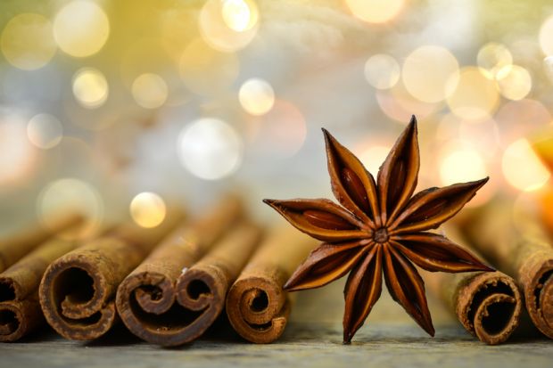 Weihnachtsgewürze machen auch aus Fleisch und Wurst besondere Festtagsspeisen Weihnachtsgewürze machen auch aus Fleisch und Wurst besondere Festtagsspeisen