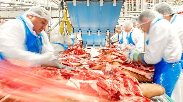 Zerlegung von Schweinefleisch. Zerlegung von Schweinefleisch.