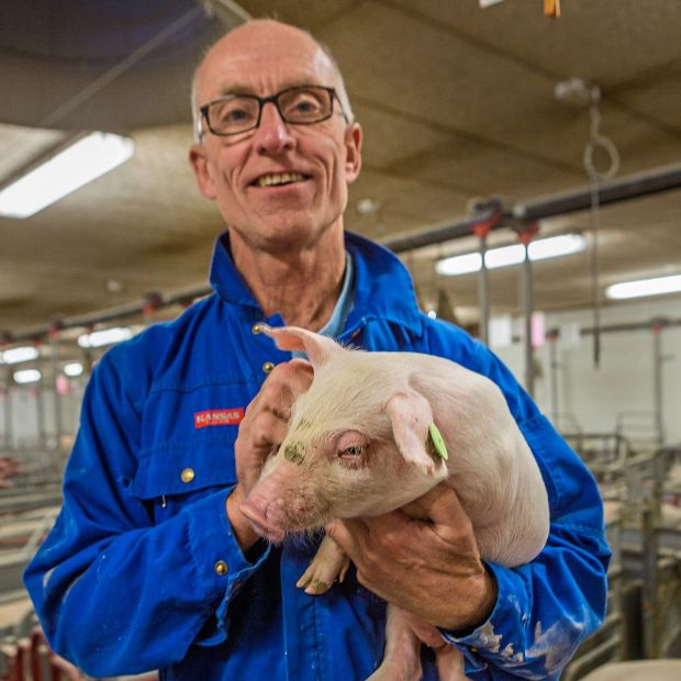 Die teilnehmenden Landwirte erhalten für jedes abgelieferte Mastschwein aus antibiotikafreier Produktion einen Extrabonus von zusätzlich 25 bis 30 Cent je Kilogramm. Die teilnehmenden Landwirte erhalten für jedes abgelieferte Mastschwein aus antibiotikafreier Produktion einen Extrabonus von zusätzlich 25 bis 30 Cent je Kilogramm.