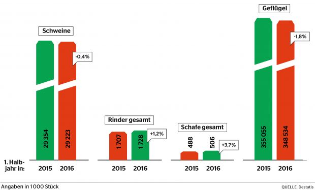 Das erste Halbjahr 2016 stellt einen neuen Rekord auf: Mit knapp 4,1 Mio. Tonnen Fleisch erzeugte die deutsche Fleischwirtschaft so viel wie noch nie in den ersten sechs Monaten eines Jahres. Das erste Halbjahr 2016 stellt einen neuen Rekord auf: Mit knapp 4,1 Mio. Tonnen Fleisch erzeugte die deutsche Fleischwirtschaft so viel wie noch nie in den ersten sechs Monaten eines Jahres.