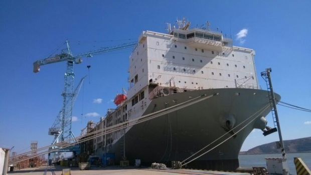 Megaliner MV Ocean Shearer der australischen Wellard Group Megaliner MV Ocean Shearer der australischen Wellard Group