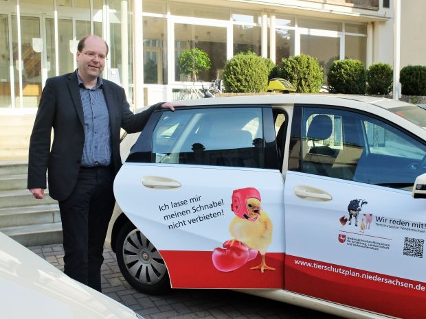 Bei diesem Motiv fahren Hühner mit ungekürztem Schnabel und Boxhandschuhen Taxi. Bei diesem Motiv fahren Hühner mit ungekürztem Schnabel und Boxhandschuhen Taxi.