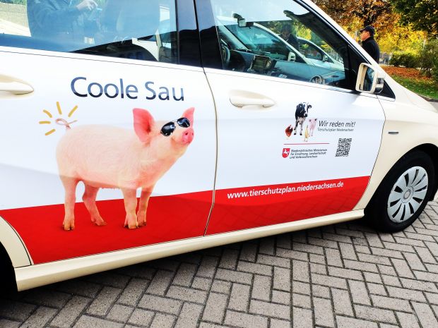 Hier fahren Schweine mit intaktem Ringelschwanz mit. Hier fahren Schweine mit intaktem Ringelschwanz mit.