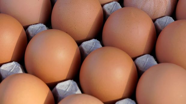 Bis zum vergangenen Freitag waren insgesamt 17 Staaten betroffen vom Fipronil-Skandal betroffen. Bis zum vergangenen Freitag waren insgesamt 17 Staaten betroffen vom Fipronil-Skandal betroffen.