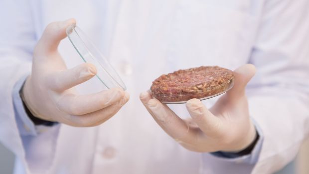Bell forscht mit an In-Vitro-Fleisch. Bell forscht mit an In-Vitro-Fleisch.