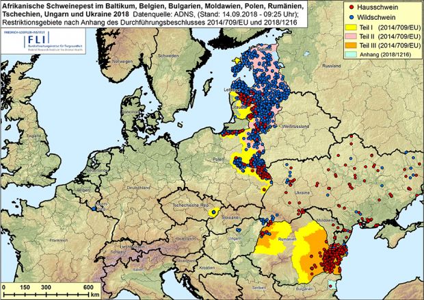 Die aktualisierte Karte des FLI zeigt die Ausbreitung der ASP in Europa. Die aktualisierte Karte des FLI zeigt die Ausbreitung der ASP in Europa.