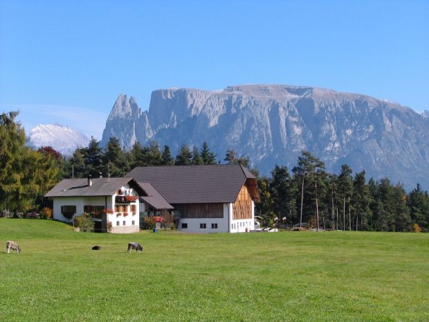 Idylle pur - Bauernhof in den Bergen. Andernorts fürchten viele Landwirte einen Einbruch in ihre Ställe. Idylle pur - Bauernhof in den Bergen. Andernorts fürchten viele Landwirte einen Einbruch in ihre Ställe.