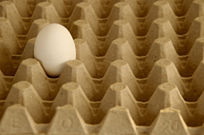 Mit Fipronil verseuchte Eier aus den Niederlanden tauchen in immer mehr Bundesländern auf. Mit Fipronil verseuchte Eier aus den Niederlanden tauchen in immer mehr Bundesländern auf.
