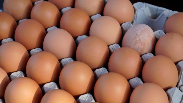 Der Skandal um Fipronil-verseuchte Eier zeigt, dass die Rückverfolgbarkeit entlang der Lebensmittel-Lieferkette nicht konsequent durchgezogen wird. Der Skandal um Fipronil-verseuchte Eier zeigt, dass die Rückverfolgbarkeit entlang der Lebensmittel-Lieferkette nicht konsequent durchgezogen wird.
