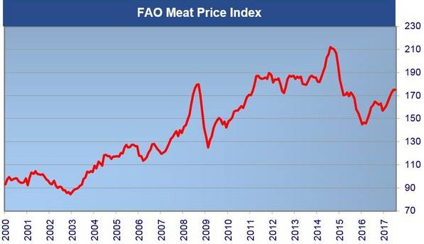 Der Subindex für Fleisch bewegte sich der FAO zufolge im Juli mit 175,1 Punkten auf dem Niveau des Vormonats seitwärts. Der Subindex für Fleisch bewegte sich der FAO zufolge im Juli mit 175,1 Punkten auf dem Niveau des Vormonats seitwärts.