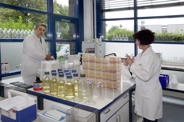 Proben, soweit das Auge reicht: In den Laborräumen des FSK-Instituts kommt das Untersuchungsmaterial kontinuierlich auf die Labortische. Dank der Erweiterung der Betriebsfläche wurde eine Beschleunigung der Tests möglich. Die Mikrobiologie-Abteilung wurde um neue Arbeitsplätze erweitert und ermöglicht die Anwendung schnellerer Verfahren. Proben, soweit das Auge reicht: In den Laborräumen des FSK-Instituts kommt das Untersuchungsmaterial kontinuierlich auf die Labortische. Dank der Erweiterung der Betriebsfläche wurde eine Beschleunigung der Tests möglich. Die Mikrobiologie-Abteilung wurde um neue Arbeitsplätze erweitert und ermöglicht die Anwendung schnellerer Verfahren.