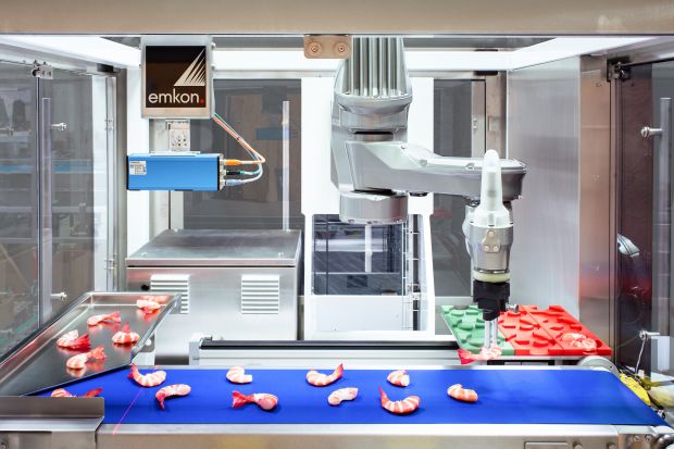 Nach dem Erfassen der Positionen jedes Shrimps werden die Koordinaten an den Roboter übermittelt, der mit seinem Vakuumgreifer die Shrimps einzeln vom Band abnimmt und lagerichtig in die Blister einlegt. Nach dem Erfassen der Positionen jedes Shrimps werden die Koordinaten an den Roboter übermittelt, der mit seinem Vakuumgreifer die Shrimps einzeln vom Band abnimmt und lagerichtig in die Blister einlegt.