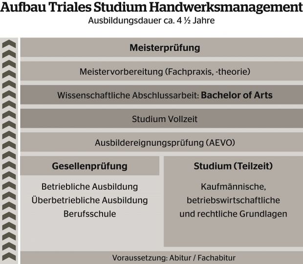 Der Ausbau des Trialen Studiums. Der Ausbau des Trialen Studiums.
