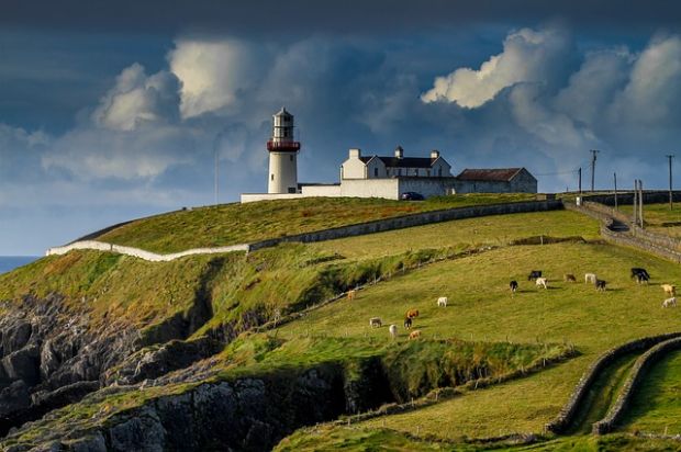 Weidehaltung auf der grünen Insel. In Kürze darf die Republik Irland Rindfleisch nach China liefern. Weidehaltung auf der grünen Insel. In Kürze darf die Republik Irland Rindfleisch nach China liefern.