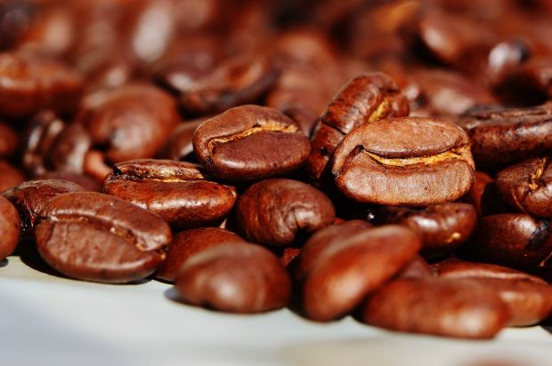 Kaffee, Tee und Kakao bildet die größte Warengruppe, die mit dem Bio-Siegel gekennzeichnet ist. Kaffee, Tee und Kakao bildet die größte Warengruppe, die mit dem Bio-Siegel gekennzeichnet ist.