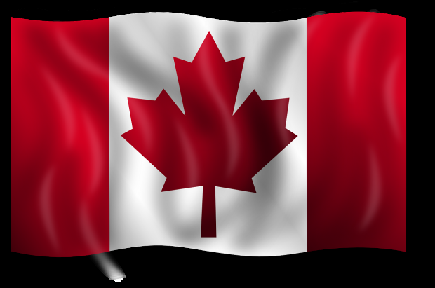 In Kanada ging der Bestand an Rindern und Schweinen leicht zurück. In Kanada ging der Bestand an Rindern und Schweinen leicht zurück.