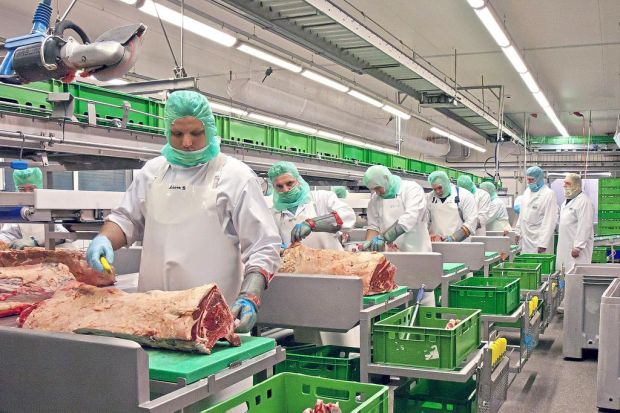 40.000 Bio-Schweine und 15.000 Bio-Rinder werden jedes Jahr in Ludwigslust verarbeitet. 40.000 Bio-Schweine und 15.000 Bio-Rinder werden jedes Jahr in Ludwigslust verarbeitet.