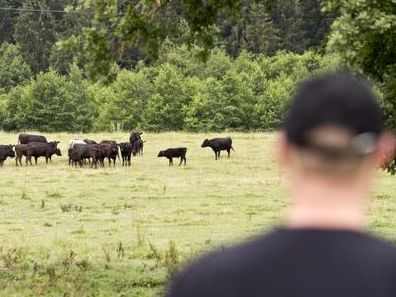 Michael Moser ist von dem Fleisch aus der Wagyu-Galloway-Kreuzung hellauf begeistert. Michael Moser ist von dem Fleisch aus der Wagyu-Galloway-Kreuzung hellauf begeistert.