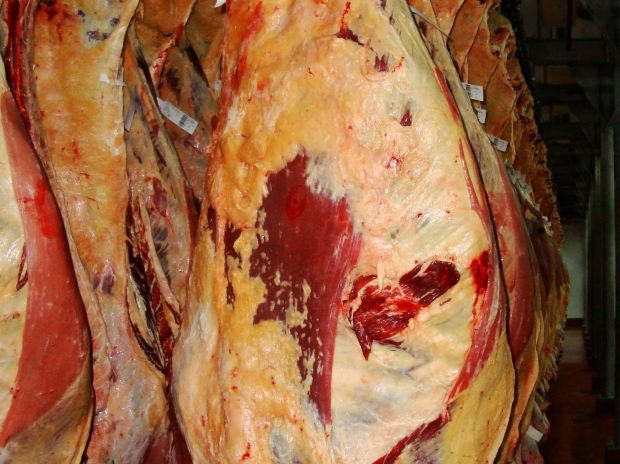 Die Betreiber des Schlachthofs kündigten an, das gesamte Kontrollsystem kritisch zu hinterfragen. Die Betreiber des Schlachthofs kündigten an, das gesamte Kontrollsystem kritisch zu hinterfragen.