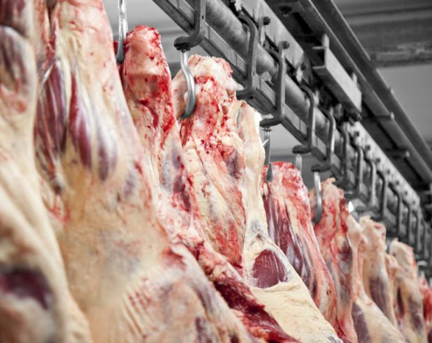Die Ausfuhr von Rindfleisch aus der EU in Drittländer stieg gegenüber 2016. Die Ausfuhr von Rindfleisch aus der EU in Drittländer stieg gegenüber 2016.