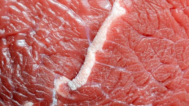 Welches Fleisch essen wir morgen? Fleisch aus der Petrischale könnte die Massenware ersetzen. Welches Fleisch essen wir morgen? Fleisch aus der Petrischale könnte die Massenware ersetzen.