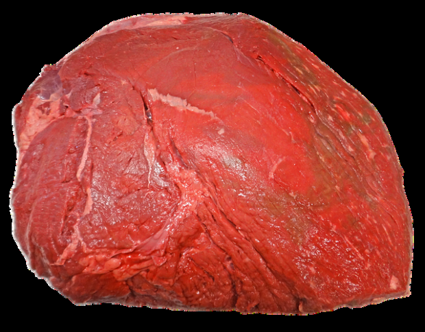 Ein Schwerpunkt in der Vermarktung liegt momentan auf Fleisch aus dem Vorderviertel. Dieses wird größtenteils für die Herstellung von Suppen- und Hackfleisch verwendet und verstärkt gewünscht. Ein Schwerpunkt in der Vermarktung liegt momentan auf Fleisch aus dem Vorderviertel. Dieses wird größtenteils für die Herstellung von Suppen- und Hackfleisch verwendet und verstärkt gewünscht.