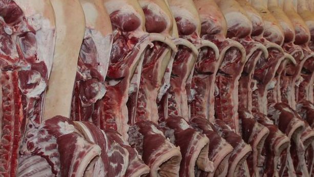 In Deutschland, Dänemark, Italien, Polen und den Niederlanden blieben die Notierungen für Schlachtschweine stabil. In Deutschland, Dänemark, Italien, Polen und den Niederlanden blieben die Notierungen für Schlachtschweine stabil.