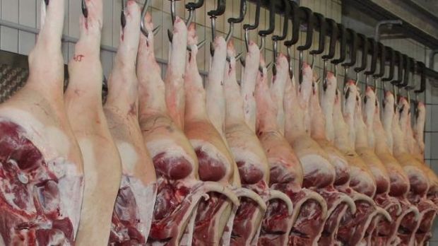Die Preise für Schlachtschweine legen europaweit zu. Die Preise für Schlachtschweine legen europaweit zu.