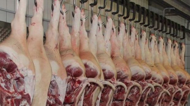 Vion bietet im Rahmen eines Pilotversuch einen Langfristpreis für Schweine an. Vion bietet im Rahmen eines Pilotversuch einen Langfristpreis für Schweine an.