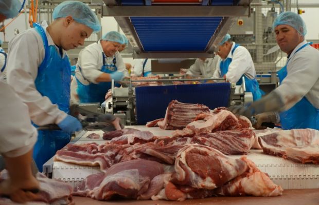 Zerlegung von Schweinefleisch. Zerlegung von Schweinefleisch.