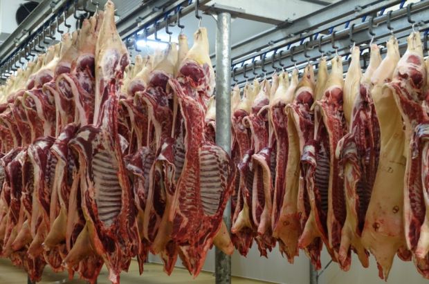 Belgien bilanziert für 2017 ein leichtes Exportminus für Schweinefleisch. Belgien bilanziert für 2017 ein leichtes Exportminus für Schweinefleisch.
