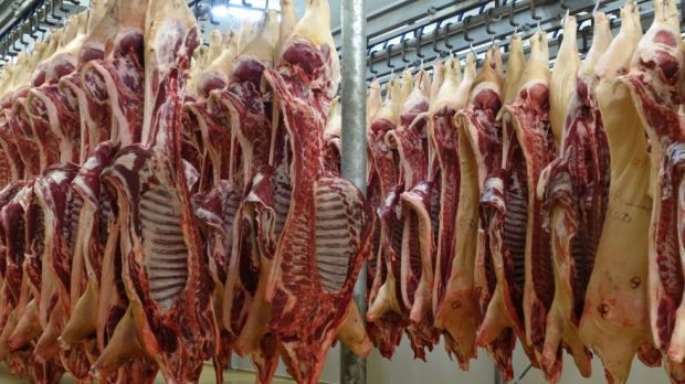 Die Notierungen für Schlachtschweine sinken in den wichtigsten Märkten Europas. Die Notierungen für Schlachtschweine sinken in den wichtigsten Märkten Europas.
